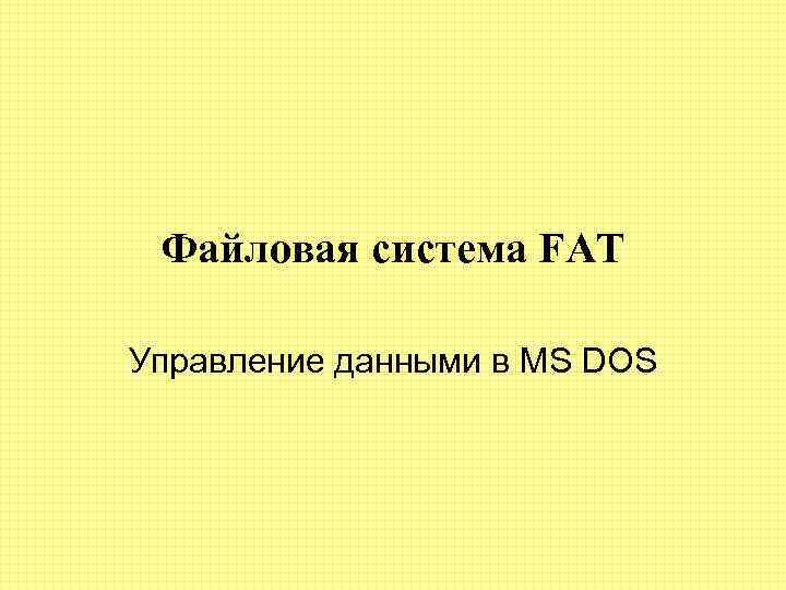 Файловая система FAT Управление данными в MS DOS 
