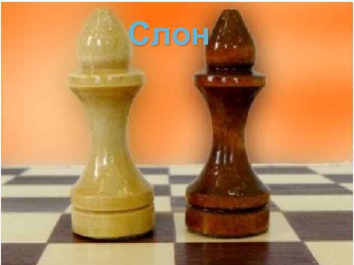 Слон 