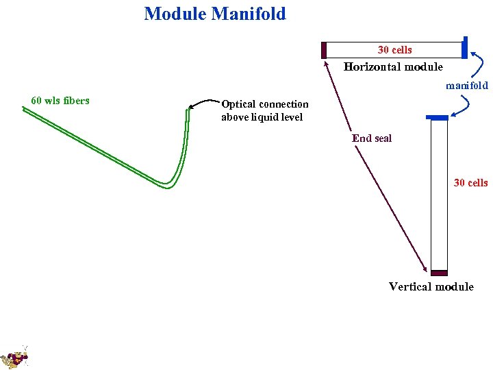 Module Manifold 30 cells Horizontal module manifold 60 wls fibers Optical connection above liquid