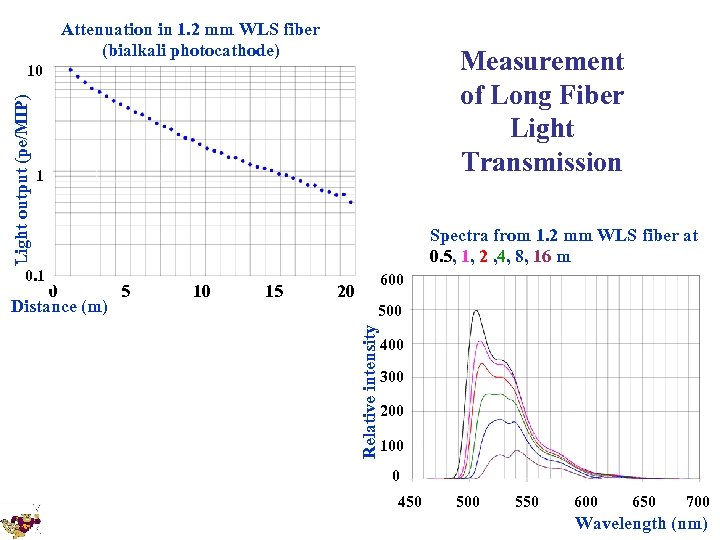 Attenuation in 1. 2 mm WLS fiber (bialkali photocathode) Measurement of Long Fiber Light