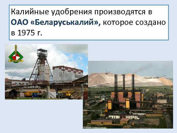 Калийные удобрения производятся в ОАО «Беларуськалий» , которое создано в 1975 г. 