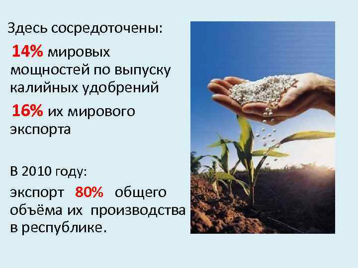  Здесь сосредоточены: 14% мировых мощностей по выпуску калийных удобрений 16% их мирового экспорта