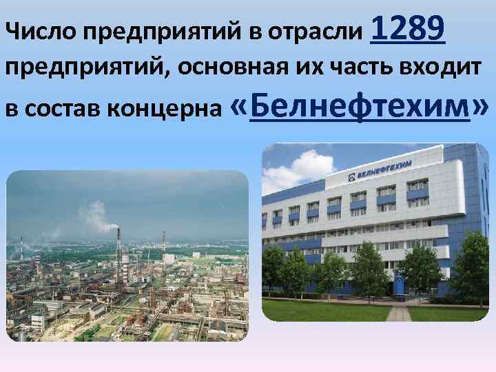 Число предприятий в отрасли 1289 предприятий, основная их часть входит в состав концерна «Белнефтехим»