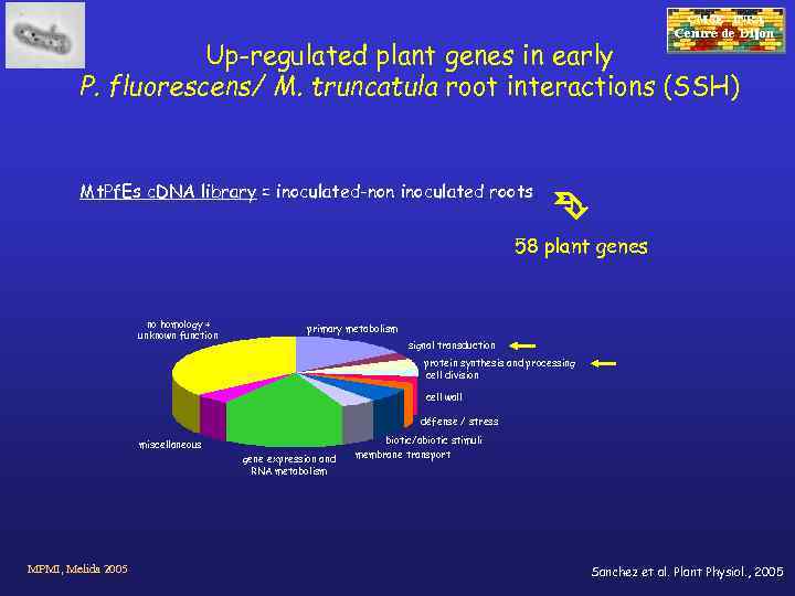 CMSE - INRA Up-regulated plant genes in early P. fluorescens/ M. truncatula root interactions