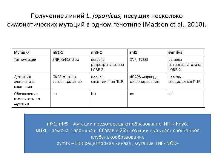 Получение линий L. japonicus, несущих несколько симбиотических мутаций в одном генотипе (Madsen et al.