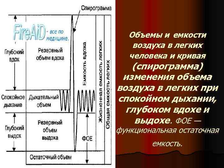 Объемы и емкости воздуха в легких человека и кривая (спирограмма) изменения объема воздуха в