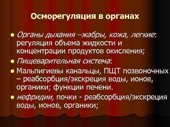 Осморегуляция в органах l Органы дыхания –жабры, кожа, легкие: регуляция объема жидкости и концентрации