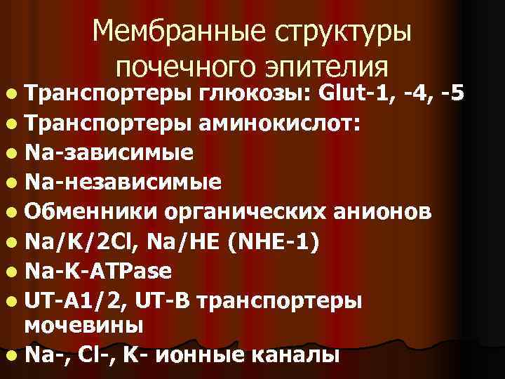 Мембранные структуры почечного эпителия l Транспортеры глюкозы: Glut-1, -4, -5 l Транспортеры аминокислот: l