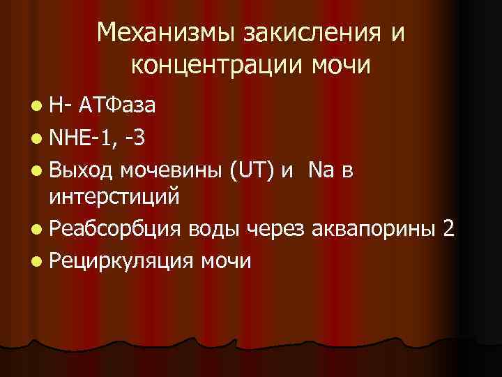 Механизмы закисления и концентрации мочи l Н- АТФаза l NHE-1, -3 l Выход мочевины