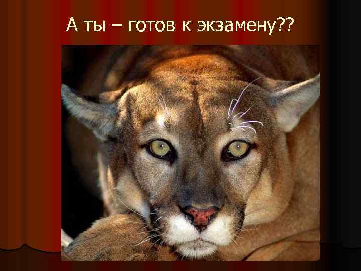 А ты – готов к экзамену? ? 