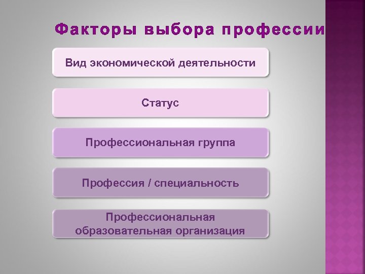 Факторы выбора профессии Вид экономической деятельности Статус Профессиональная группа Профессия / специальность Профессиональная образовательная