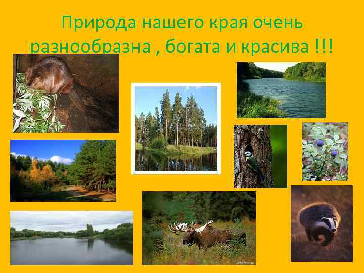 Природа нашего края очень разнообразна , богата и красива !!! 