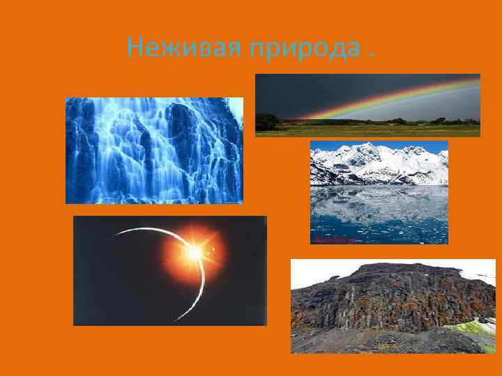 Неживая природа. 