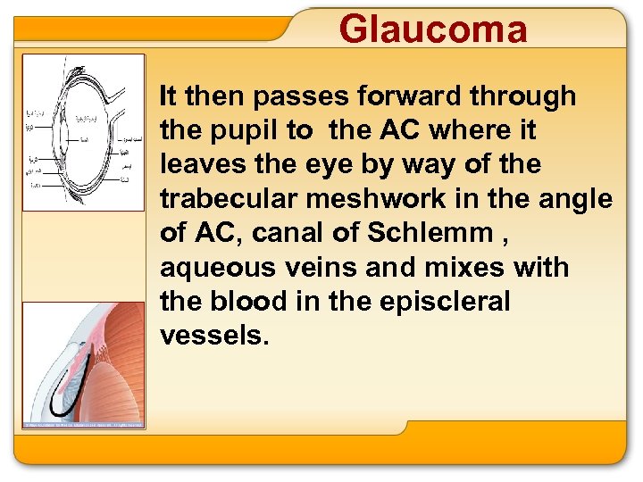 Glaucoma It then passes forward through the pupil to the AC where it leaves