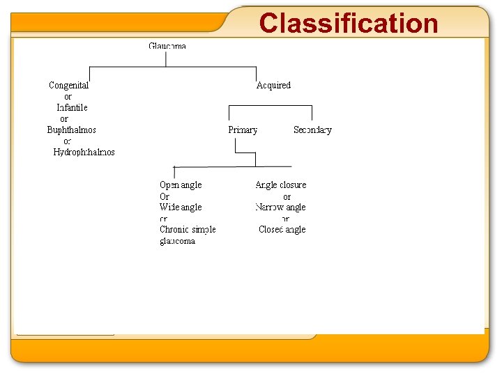 Classification 