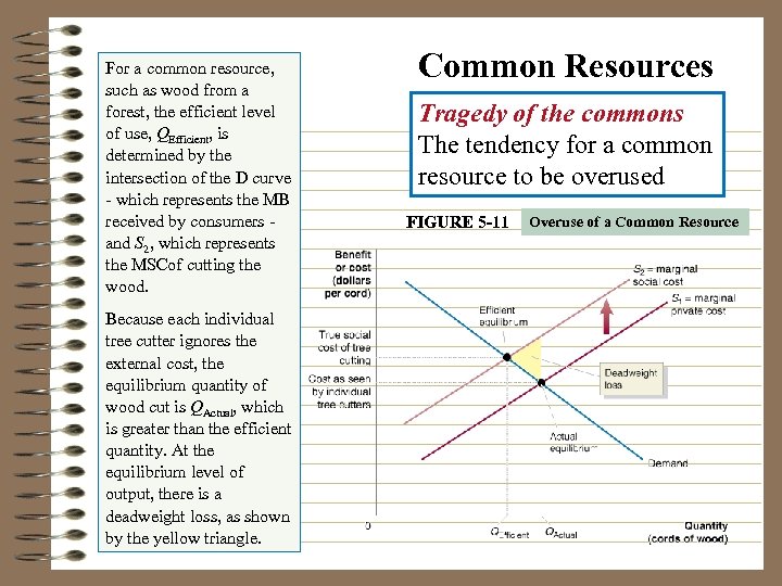For a common resource, such as wood from a forest, the efficient level of