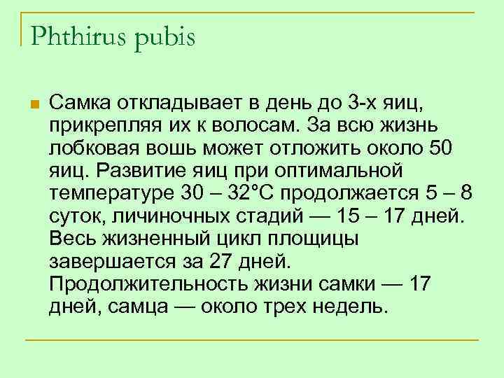 Phthirus pubis n Самка откладывает в день до 3 -х яиц, прикрепляя их к