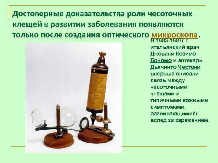 Достоверные доказательства роли чесоточных клещей в развитии заболевания появляются только после создания оптического микроскопа.