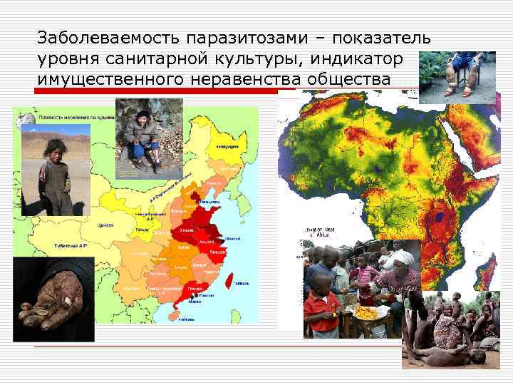 Заболеваемость паразитозами – показатель уровня санитарной культуры, индикатор имущественного неравенства общества 