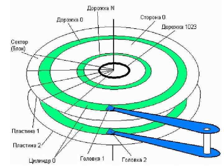 Дорожки диска. Структура магнитного диска дорожки сектора цилиндры кластеры. Логическая структура винчестера. Сектора жесткого диска. Сектора магнитного жесткого диска.