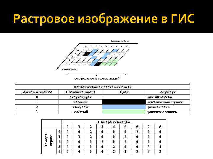 Элементарной единицей изображения в растровой модели данных является