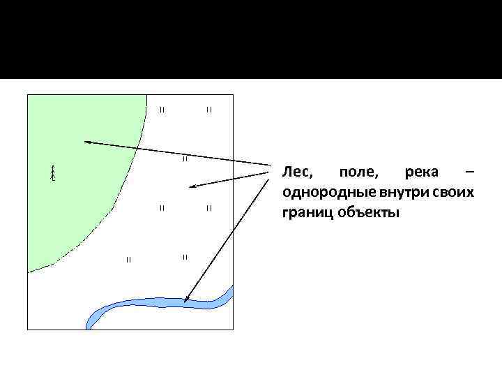 Лес, поле, река – однородные внутри своих границ объекты 