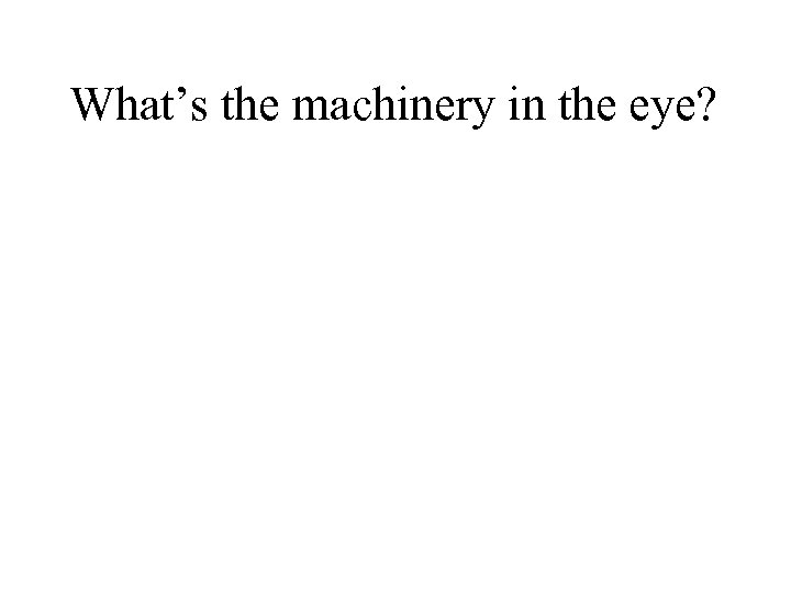 What’s the machinery in the eye? 