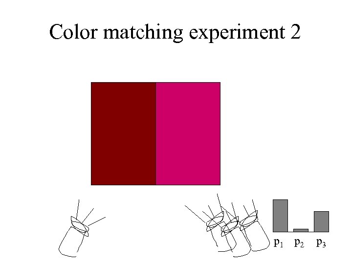 Color matching experiment 2 p 1 p 2 p 3 