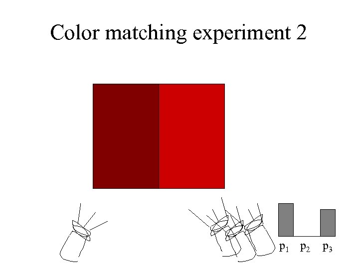 Color matching experiment 2 p 1 p 2 p 3 