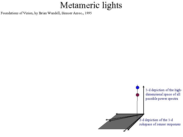 Metameric lights Foundations of Vision, by Brian Wandell, Sinauer Assoc. , 1995 3 -d