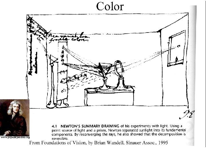 color www. popularpersons. org 