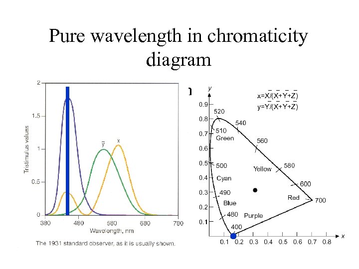 Pure wavelength in chromaticity diagram • Blue: big value of Z, therefore x and