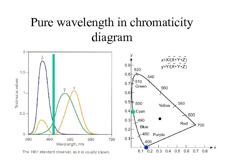 Pure wavelength in chromaticity diagram • Then y increases x=X/(X+Y+Z) y=Y/(X+Y+Z) 