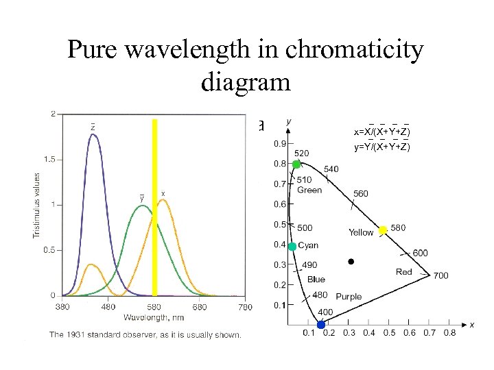 Pure wavelength in chromaticity diagram • Yellow: x & y are equal x=X/(X+Y+Z) y=Y/(X+Y+Z)