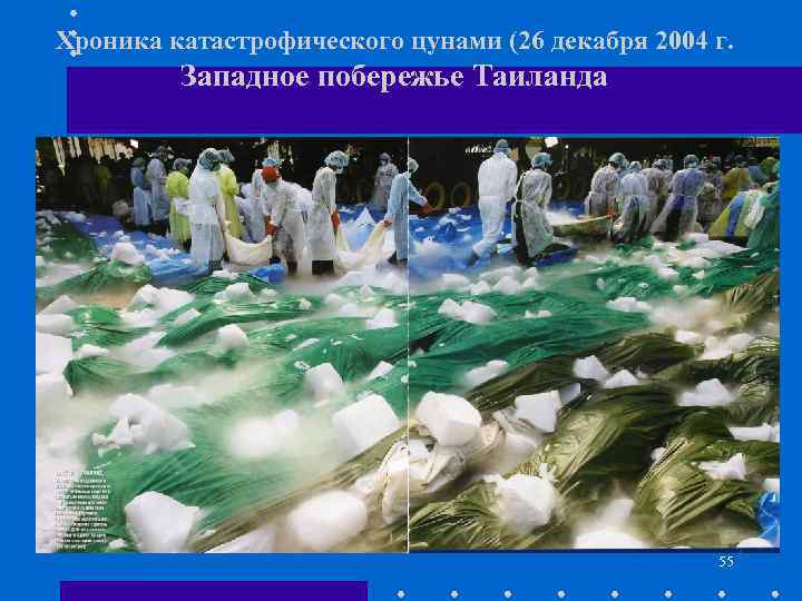 Хроника катастрофического цунами (26 декабря 2004 г. Западное побережье Таиланда 55 