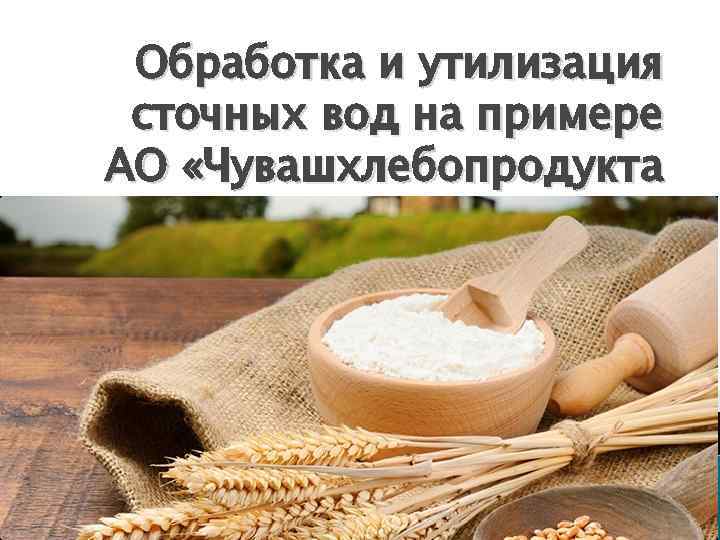 Обработка и утилизация сточных вод на примере АО «Чувашхлебопродукта 