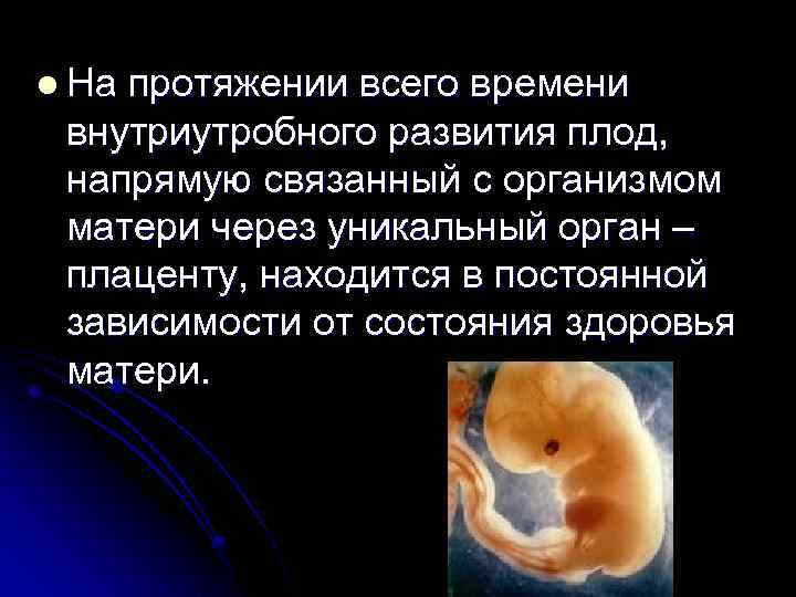 l На протяжении всего времени внутриутробного развития плод, напрямую связанный с организмом матери через