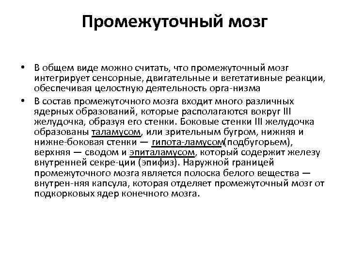 Промежуточный мозг • В общем виде можно считать, что промежуточный мозг интегрирует сенсорные, двигательные