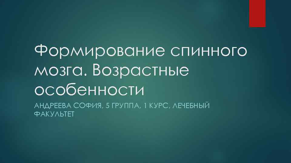 Формирование спинного мозга. Возрастные особенности АНДРЕЕВА СОФИЯ, 5 ГРУППА, 1 КУРС, ЛЕЧЕБНЫЙ ФАКУЛЬТЕТ 