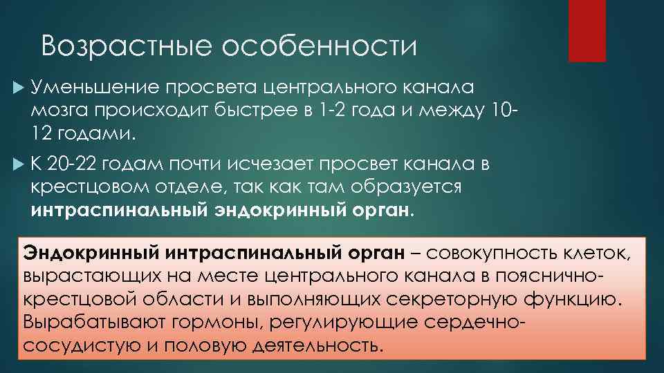 Возраст функция. Возрастные особенности мозжечка. Возрастные особенности спинного мозга. Возратсные особенности спинного могза. Возрастные особенности головного мозга.