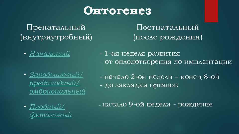 Постнатальный онтогенез это