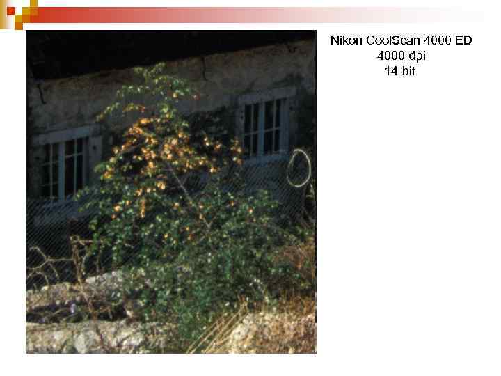 Nikon Cool. Scan 4000 ED 4000 dpi 14 bit 