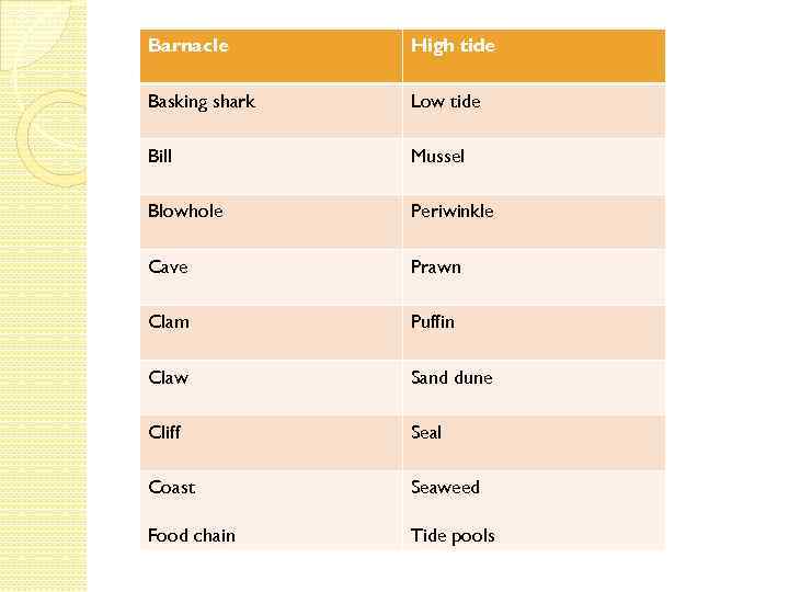 Barnacle High tide Basking shark Low tide Bill Mussel Blowhole Periwinkle Cave Prawn Clam