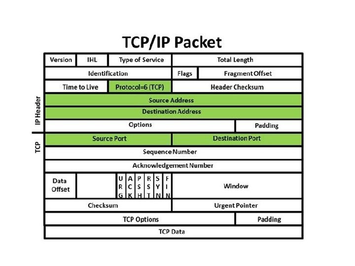 wildpacaets etherpeek nx