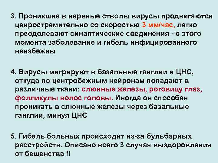 3. Проникшие в нервные стволы вирусы продвигаются ценростремительно со скоростью 3 мм/час, легко преодолевают