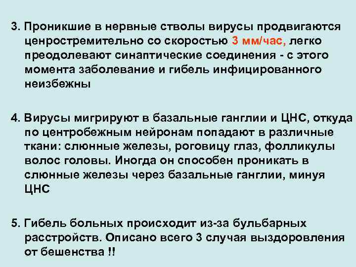 3. Проникшие в нервные стволы вирусы продвигаются ценростремительно со скоростью 3 мм/час, легко преодолевают