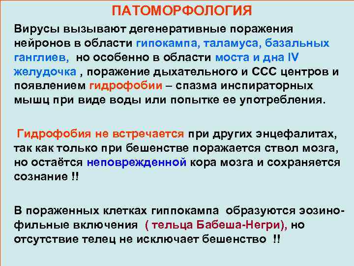 ПАТОМОРФОЛОГИЯ Вирусы вызывают дегенеративные поражения нейронов в области гипокампа, таламуса, базальных ганглиев, но особенно
