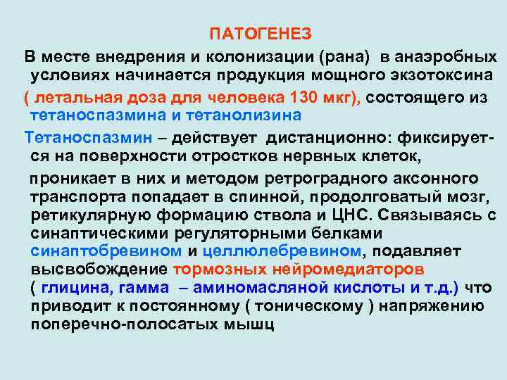 ПАТОГЕНЕЗ В месте внедрения и колонизации (рана) в анаэробных условиях начинается продукция мощного экзотоксина