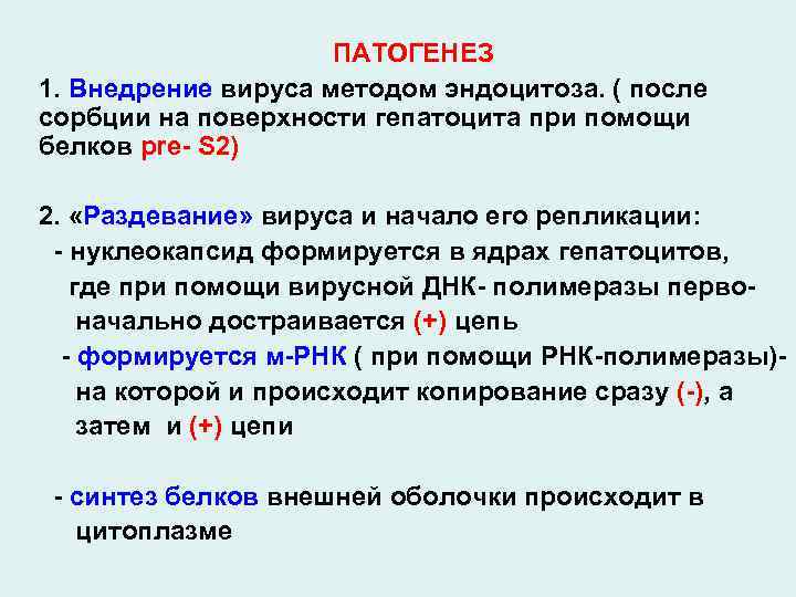 ПАТОГЕНЕЗ 1. Внедрение вируса методом эндоцитоза. ( после сорбции на поверхности гепатоцита при помощи