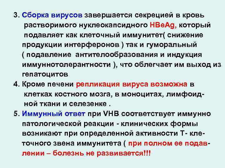 3. Сборка вирусов завершается секрецией в кровь растворимого нуклеокапсидного HBe. Ag, который подавляет как